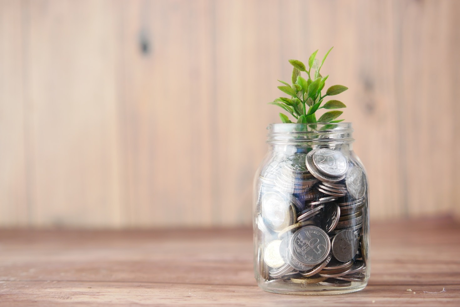 Como escolher o investimento certo para você